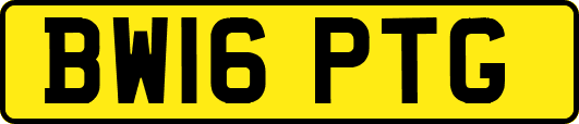 BW16PTG