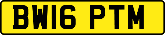 BW16PTM