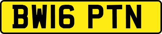 BW16PTN
