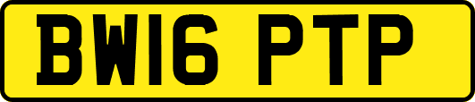 BW16PTP