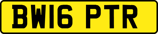 BW16PTR