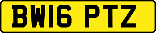 BW16PTZ
