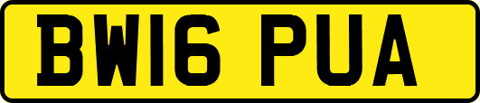 BW16PUA