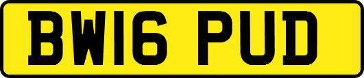 BW16PUD