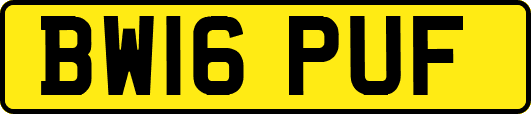 BW16PUF