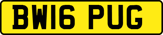 BW16PUG