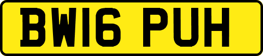 BW16PUH