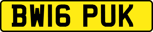 BW16PUK