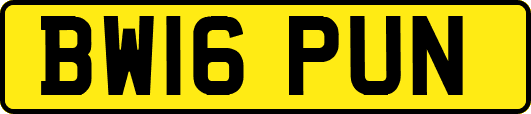 BW16PUN