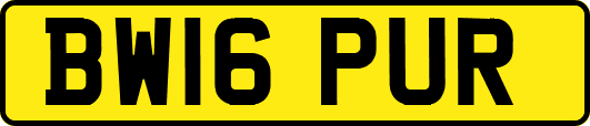BW16PUR