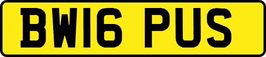 BW16PUS