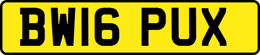 BW16PUX