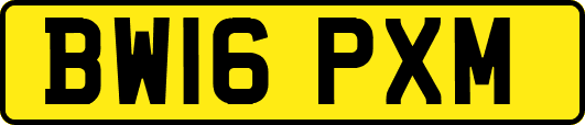 BW16PXM