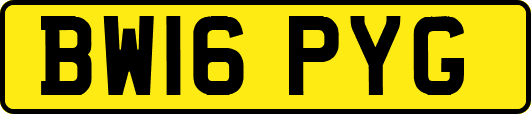 BW16PYG