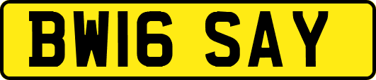 BW16SAY