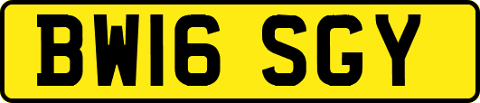 BW16SGY