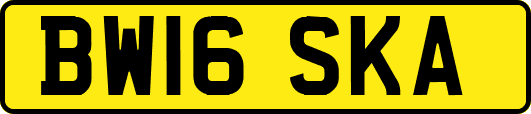BW16SKA