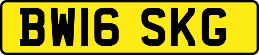 BW16SKG