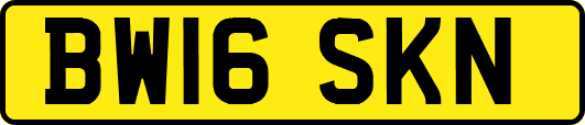 BW16SKN