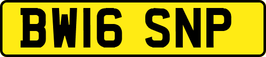 BW16SNP