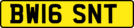 BW16SNT