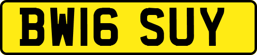 BW16SUY