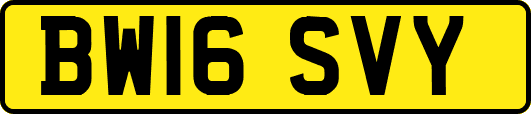 BW16SVY