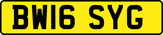 BW16SYG