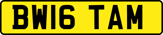 BW16TAM