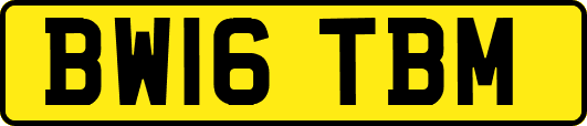 BW16TBM