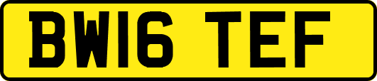 BW16TEF