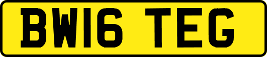 BW16TEG