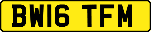 BW16TFM