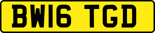 BW16TGD