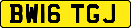 BW16TGJ