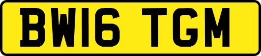 BW16TGM