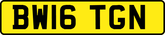 BW16TGN