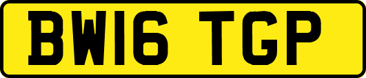 BW16TGP