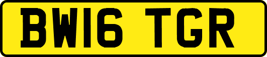 BW16TGR