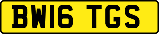 BW16TGS