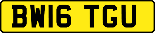 BW16TGU