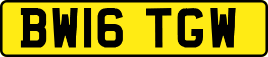 BW16TGW
