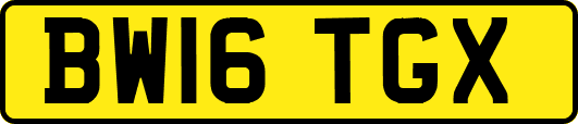 BW16TGX