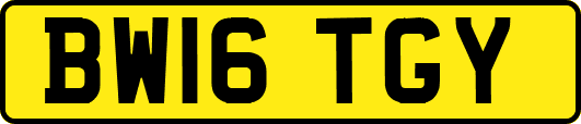 BW16TGY