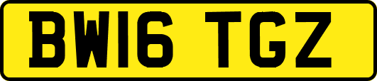 BW16TGZ