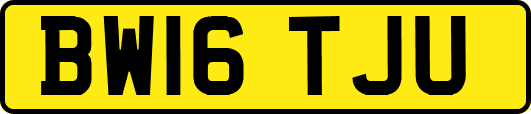 BW16TJU