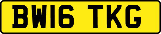 BW16TKG