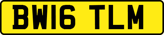 BW16TLM