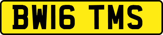 BW16TMS