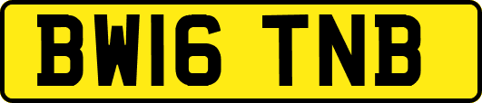 BW16TNB